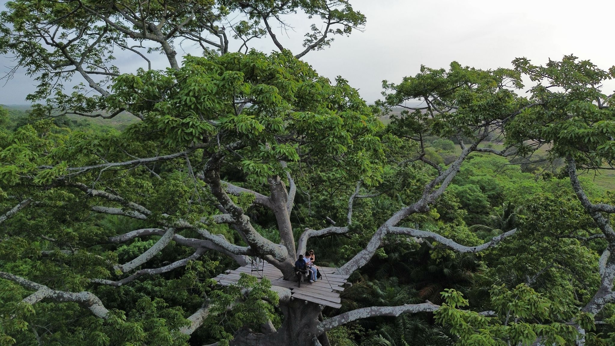 Campement le Lamantin 